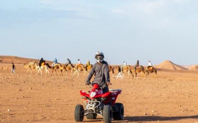 Agafay Desert vs. Palmeraie: Which Route is Right for You?