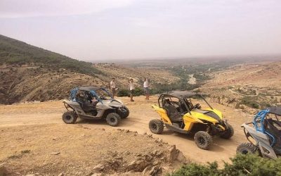 Buggy vs. Quad: Which Vehicle Should You Choose?